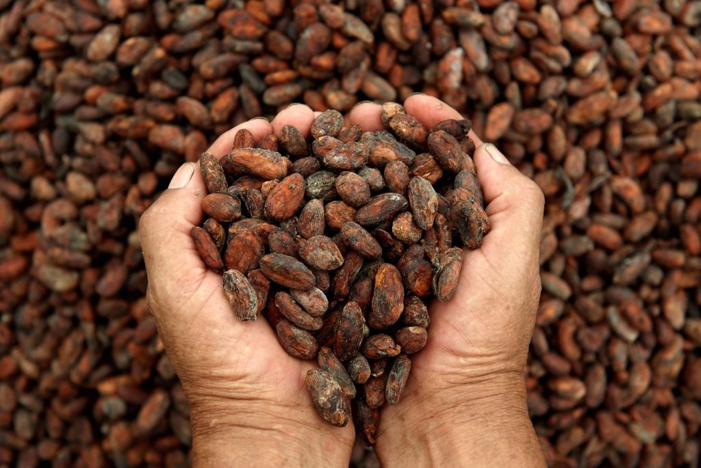 A Expo 2015 la Costa d’Avorio coniuga cacao e sostenibilità