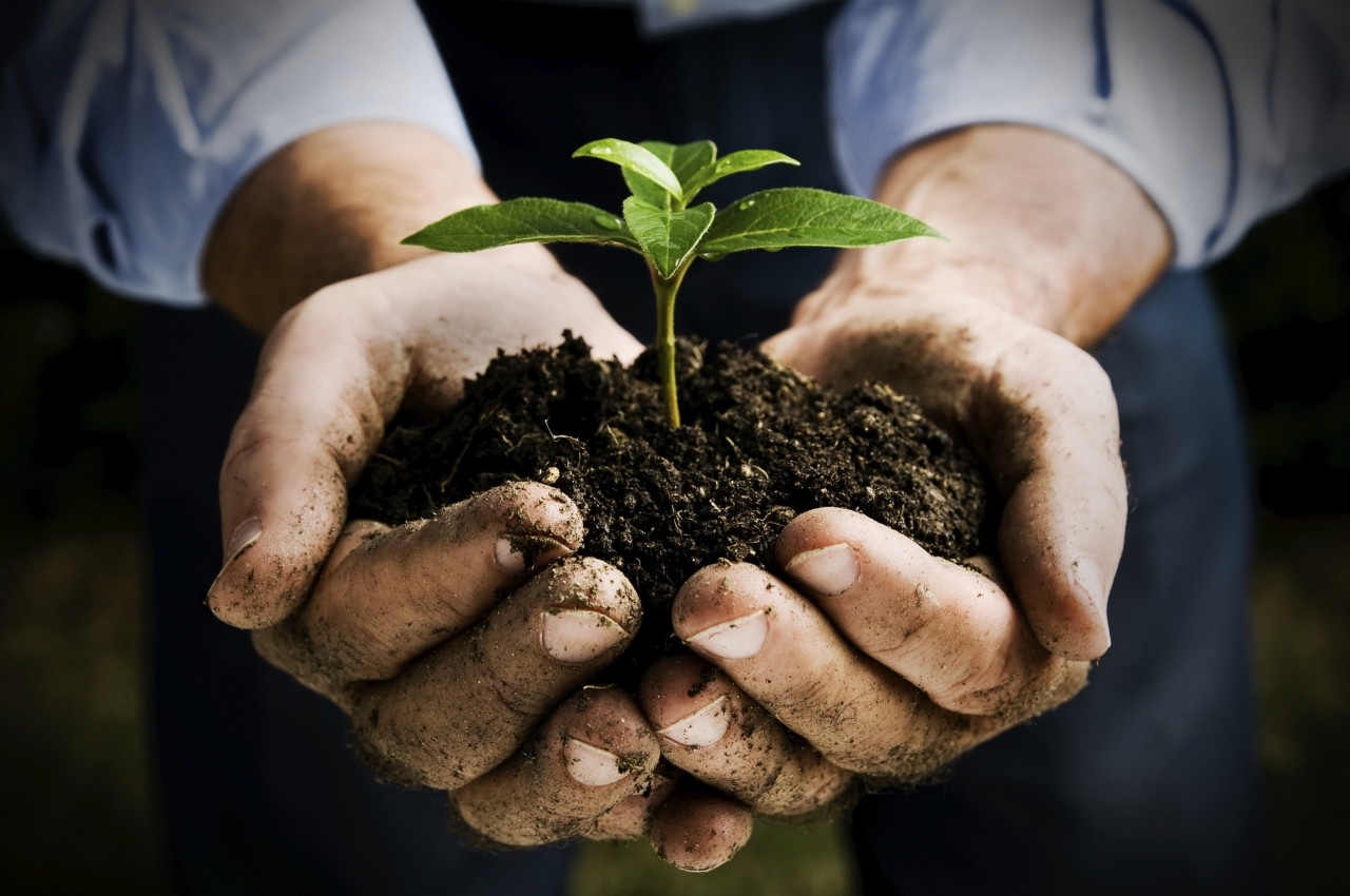 Agricoltura biodinamica: più cibo sano, meno frane e alluvioni