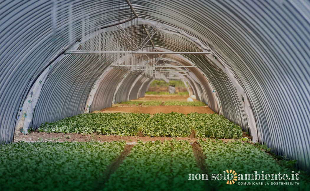 Agricoltura: l’Inghilterra dice “Sì” all’editing genetico