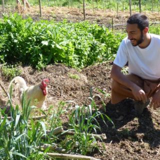 WWOOF, imparare l’agricoltura biologica in vacanza