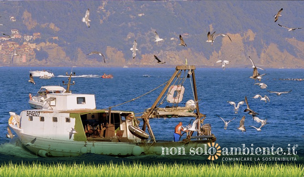 Progetto “Arcipelago pulito” per un ecosistema migliore