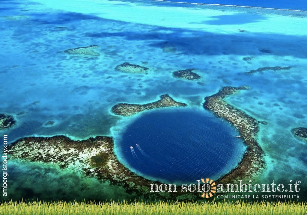 Barriera Corallina del Belize fuori dalla lista siti a rischio UNESCO
