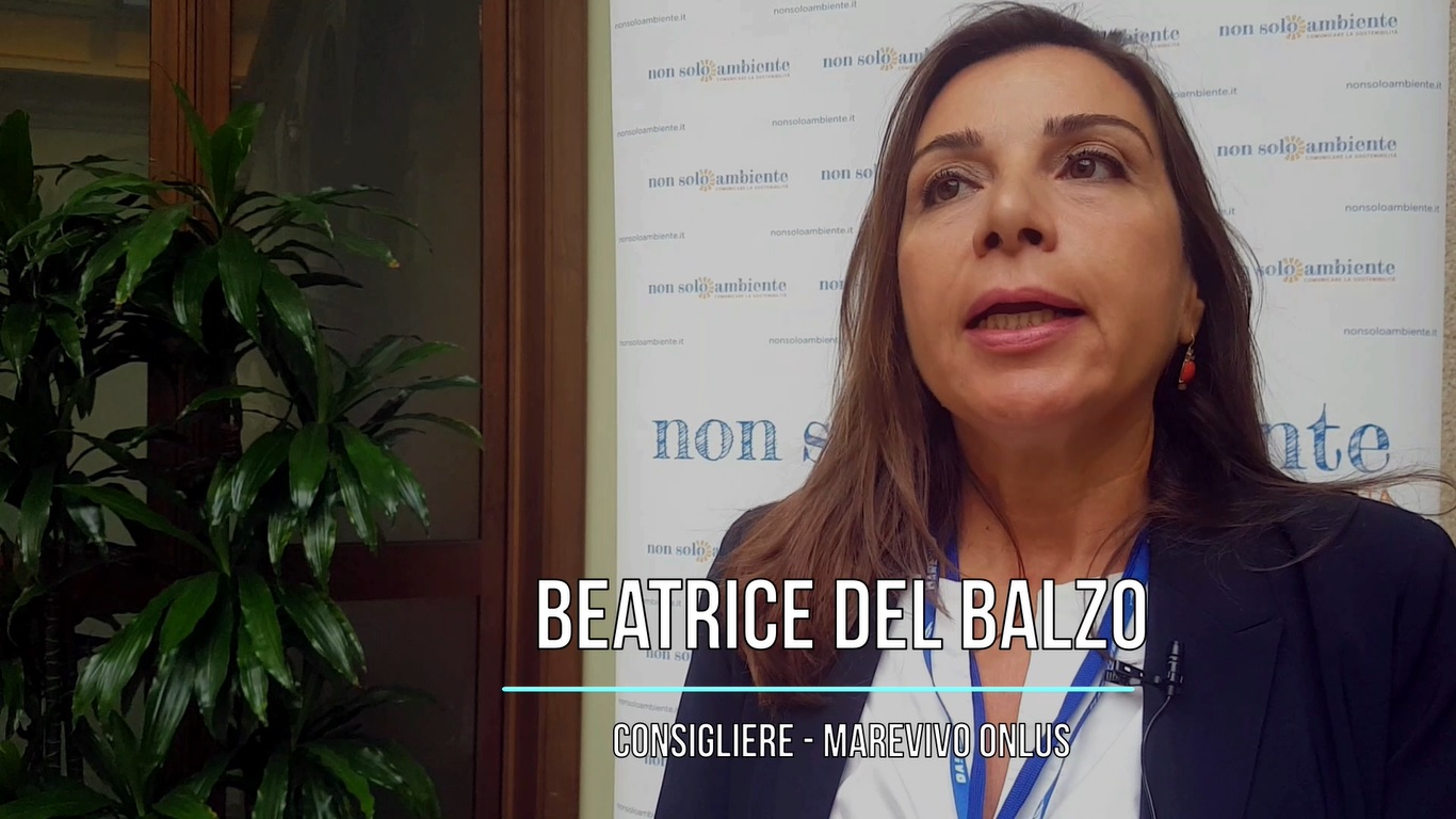 Beatrice del Balzo – “Percorsi Sostenibili – Direttiva Single-use Plastics: pro e contro”