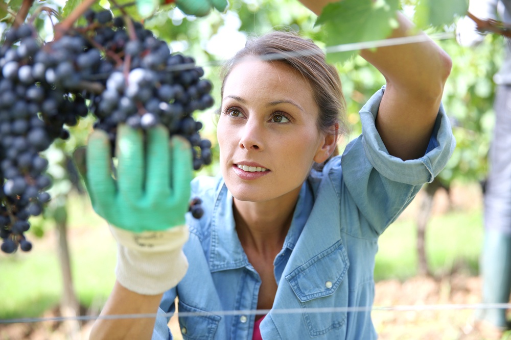 Agricoltura 4.0: ai giovani il compito di “svecchiare” il settore agricolo italiano