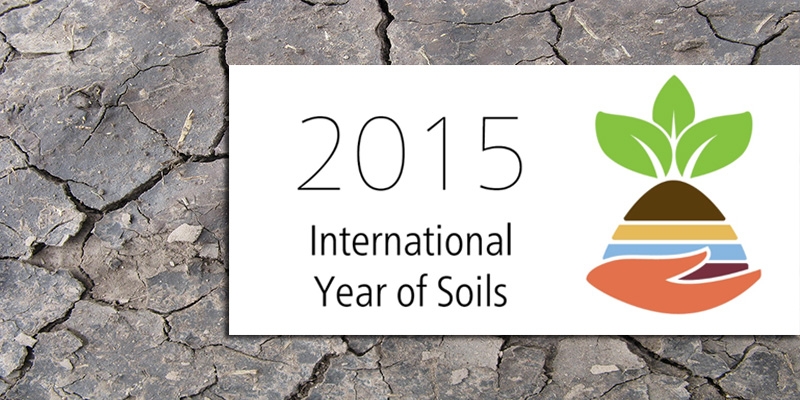 Benvenuti nel 2015, l’anno internazionale della risorsa-suolo