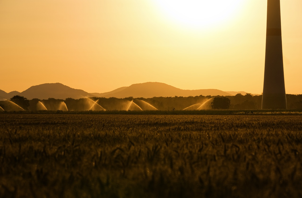 L’adattamento ai cambiamenti climatici come opportunità di sviluppo per il settore agricolo e forestale