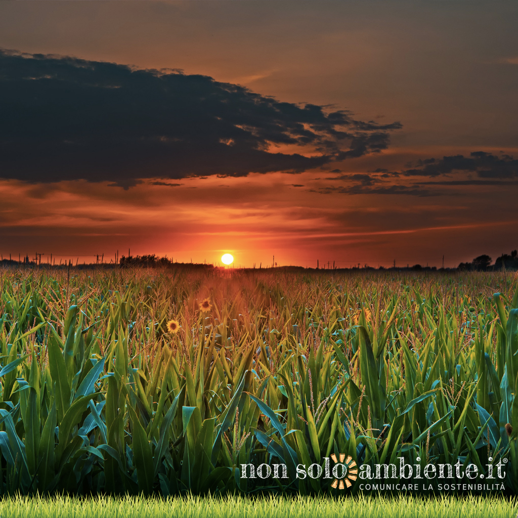 New agriculture after 2020 National Strategic Plan