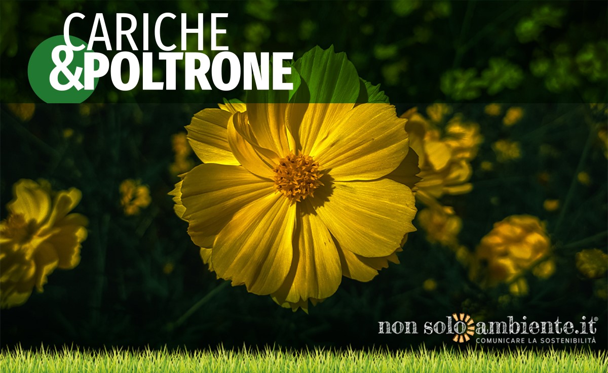 Cariche&Poltrone #3 luglio 2020