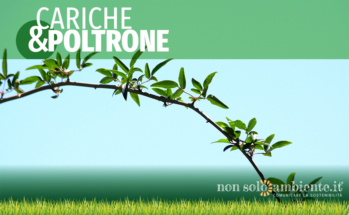 Cariche&Poltrone #2 luglio 2020