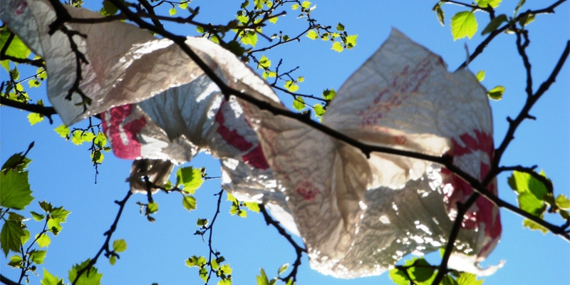 Verso l’addio ai sacchetti di plastica: raggiunto l’accordo in ambito UE