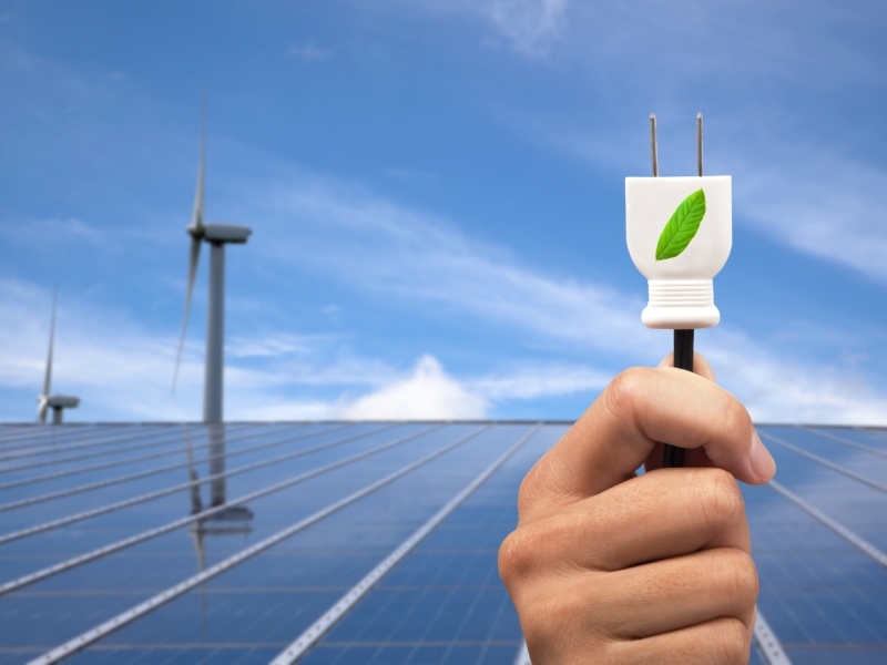 Energia green: un’opportunità di business per le aziende