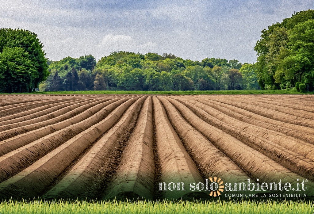 Filiera Italia: agricoltura e industria alimentare