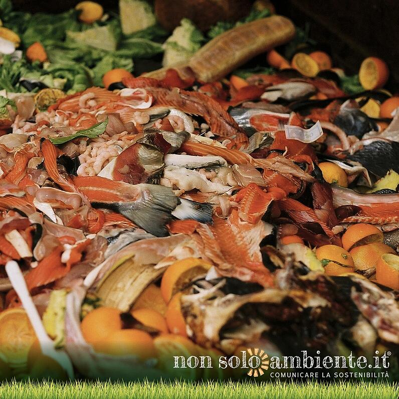 Fighting food waste: the European guidelines