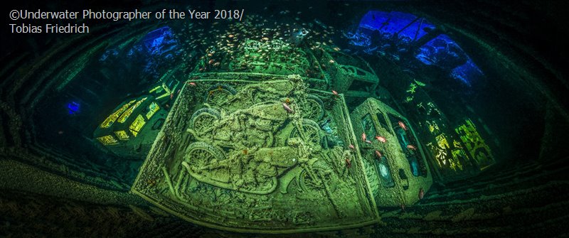 Underwater Photographer of the year: i vincitori 2018