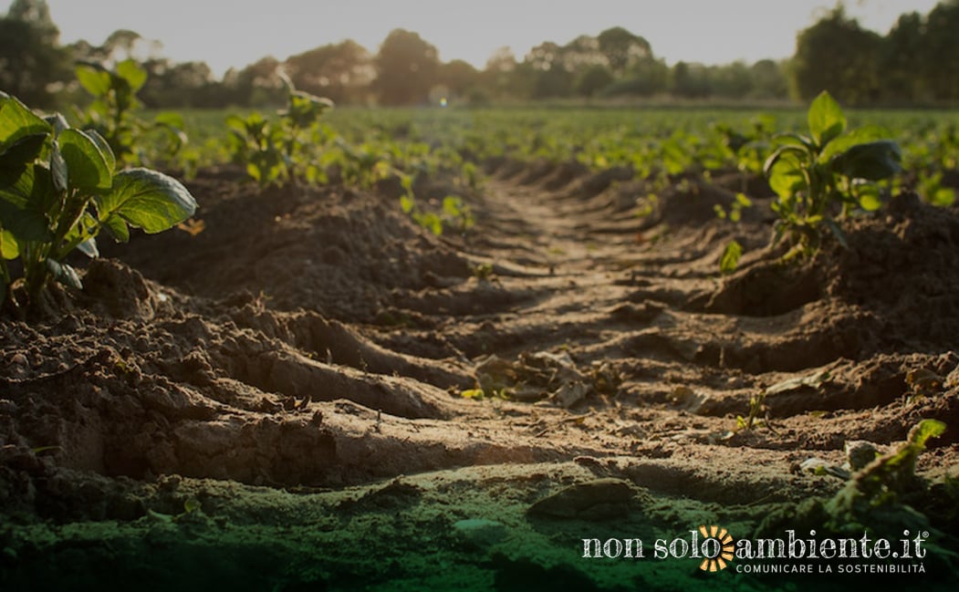 Giornata mondiale del suolo 2022, dove comincia l’alimentazione