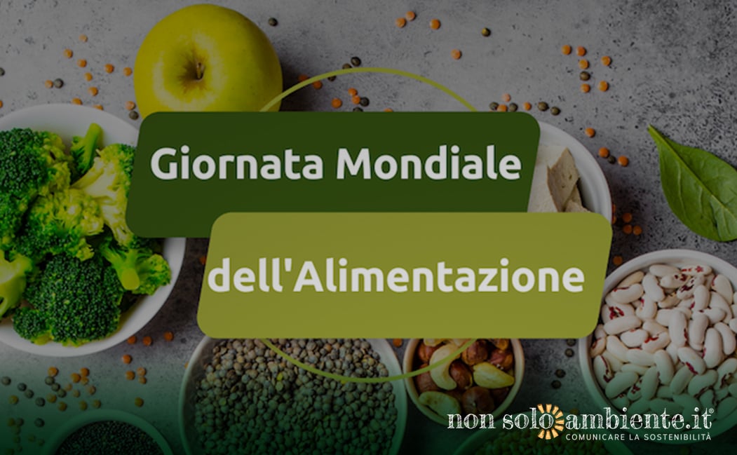 Giornata Mondiale dell’alimentazione: inclusività e sostenibilità al centro