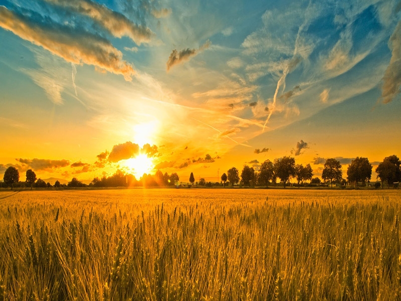 In agricoltura il 40% di risparmio energetico grazie alle tecnologie ‘green’
