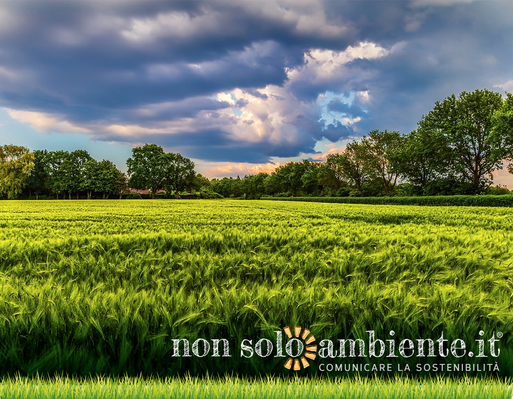 Agricoltura 2.0: le innovazioni al servizio dell’economia circolare