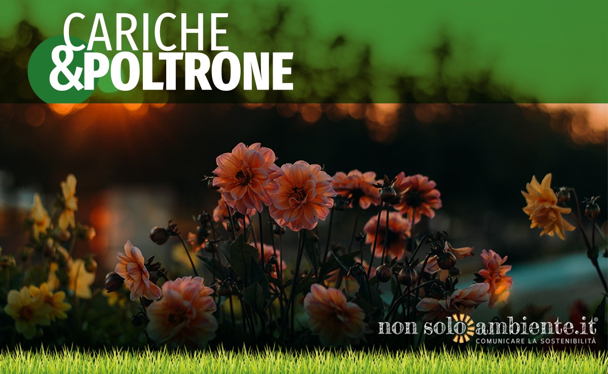 Cariche&Poltrone #4 luglio 2020