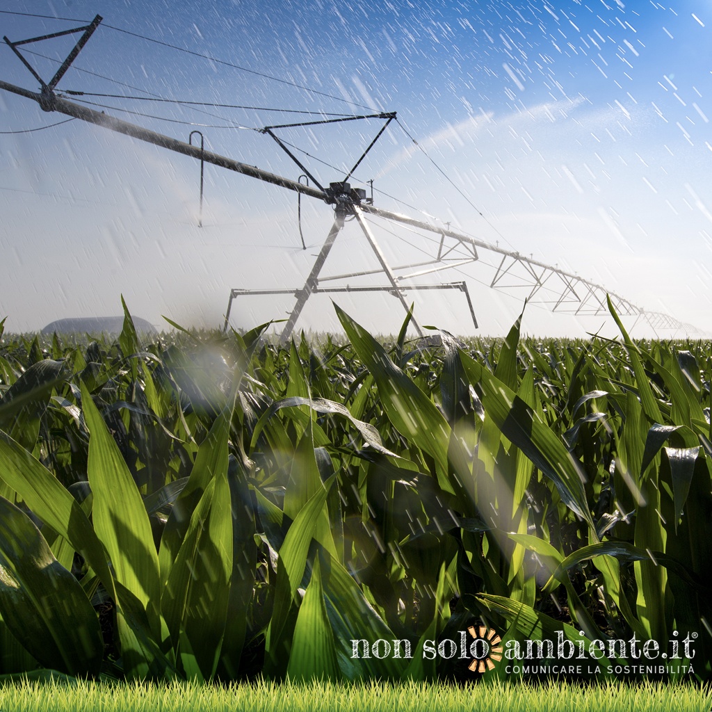 Irrigazione agricola con acque reflue, riforme in arrivo dalla Commissione Europea