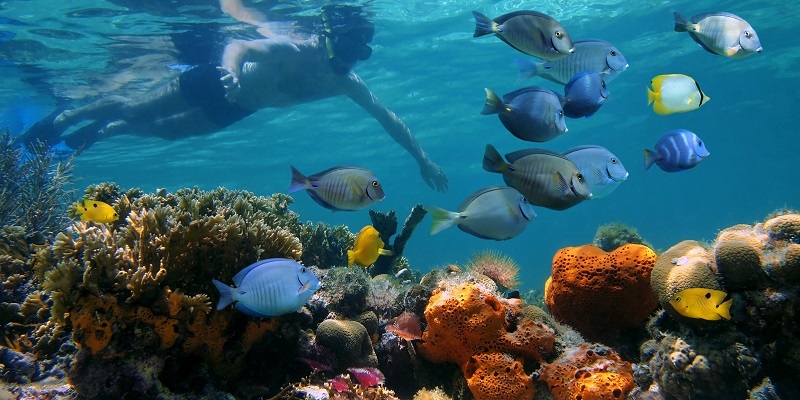 Nel Pacifico, atolli da sogno e isole incontaminate. Ma lo sono davvero?