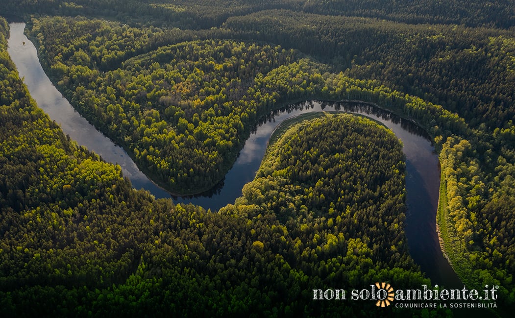 L’Amazzonia non è resiliente: presto potrebbe trasformarsi in savana