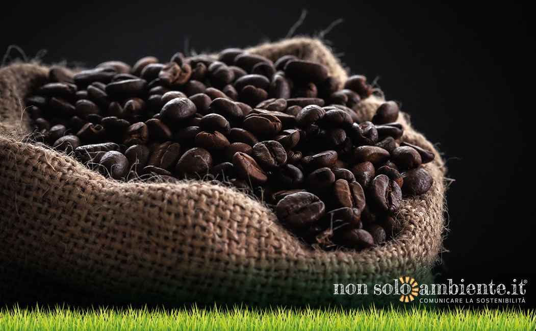 Sustainable coffee experience: Lavazza partner dell’Italia a Expo 2020 Dubai