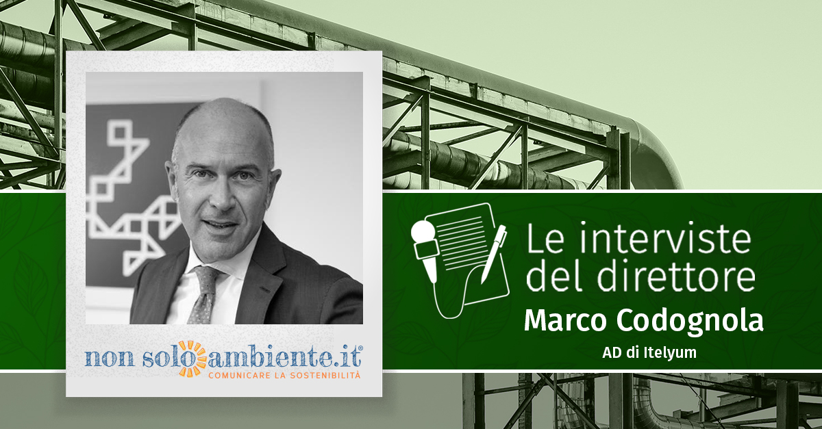 Le interviste del Direttore: Marco Codognola