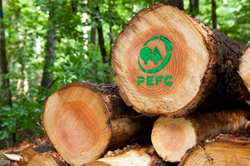 Marchio PEFC per i boschi sostenibili