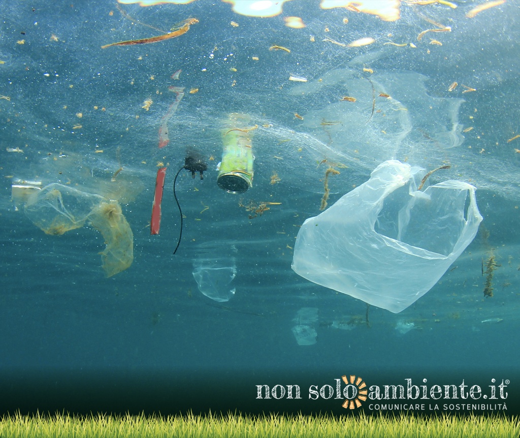 Marine Litter: all’Ecoforum il punto sull’emergenza globale
