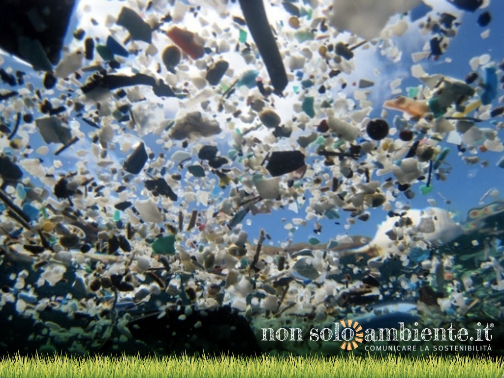 Microplastiche, Mar Mediterraneo come Pacific Trash Vortex