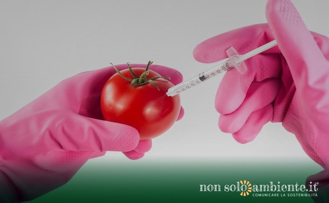 Nuovi OGM: una petizione contro la deregolamentazione nell’Unione Europea