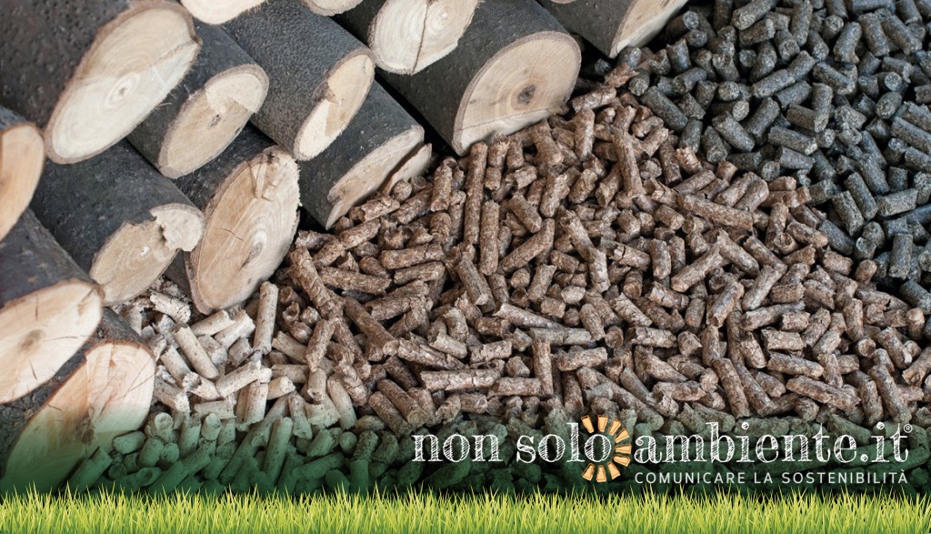 Generatori a biomasse: cala l’Ecobonus e si accende il dibattito