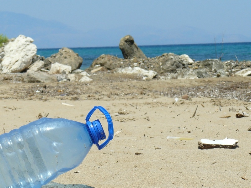 Plastica nei mari… e nei pesci: disastro ambientale irrecuperabile entro il 2050?