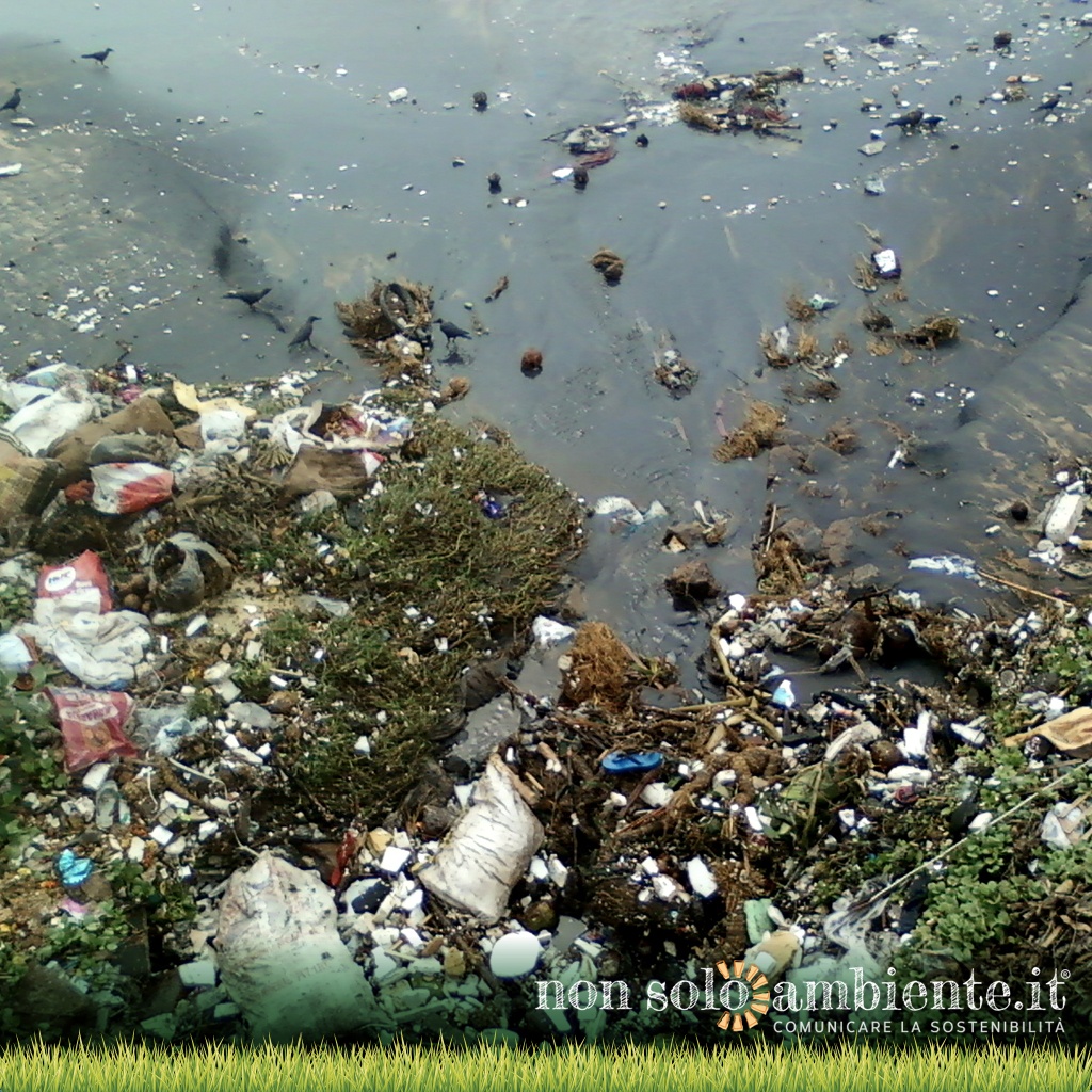 I 5 oggetti di uso quotidiano che rovinano l’ambiente