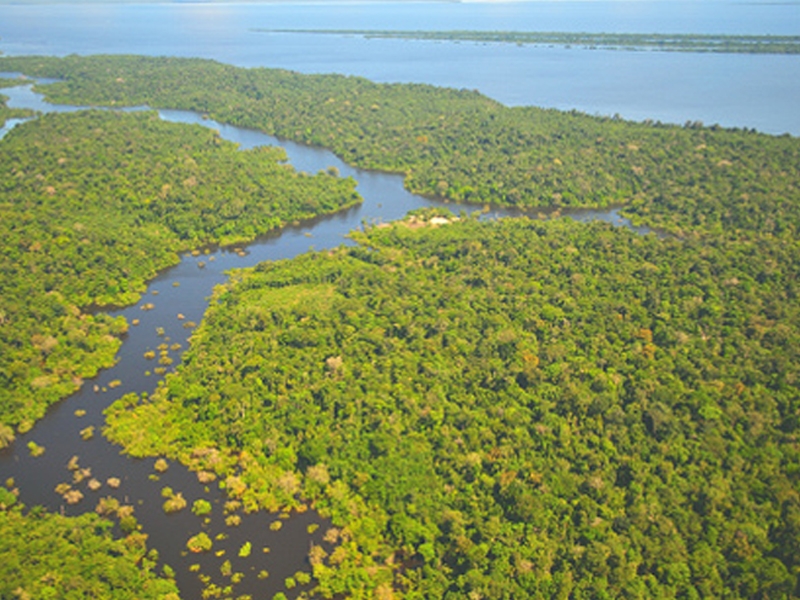 Girolomoni aderisce al progetto Foreste in Piedi