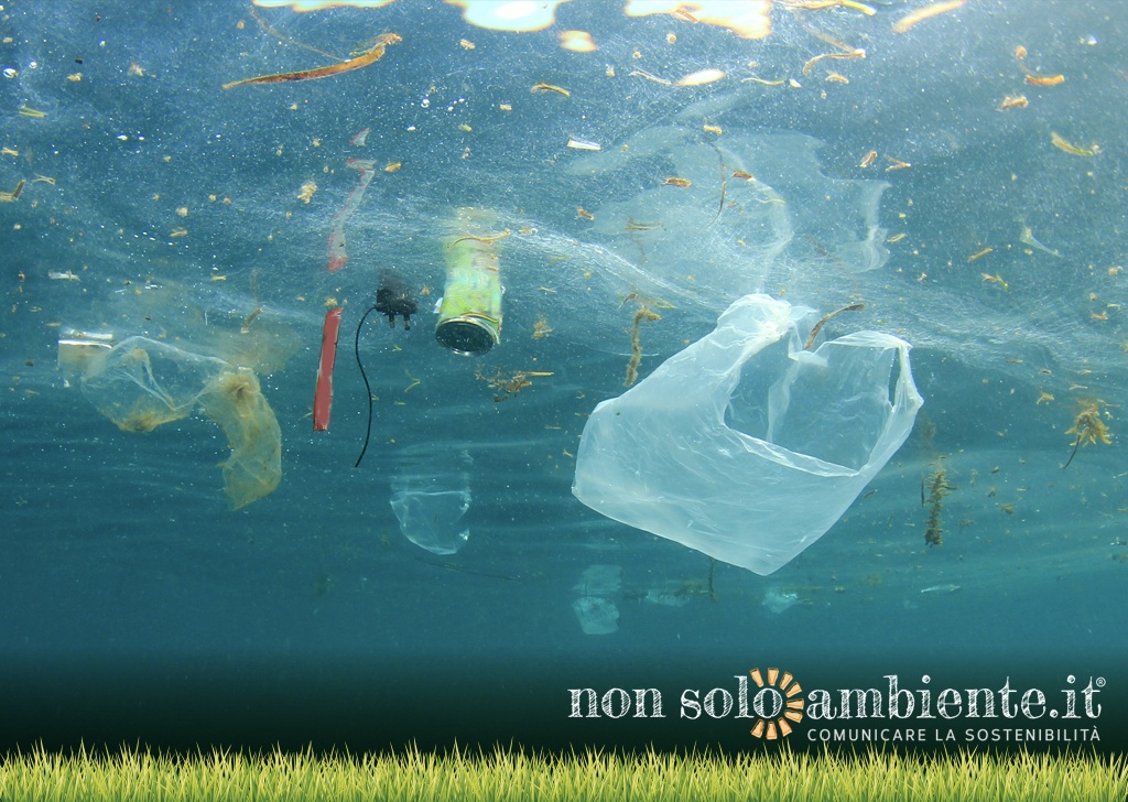 Microplastica pericolosa per i pesci: un falso problema?