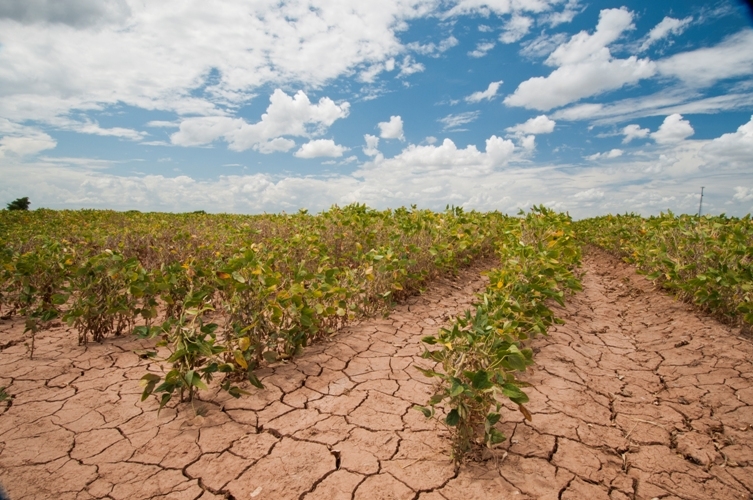 Conferenza delle Regioni: la Sardegna alla guida della Commissione Ambiente