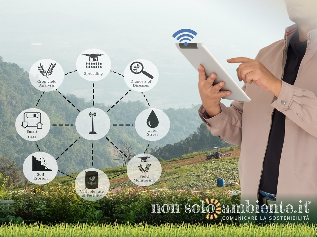Internet of Things, le potenzialità della Smart Agriculture