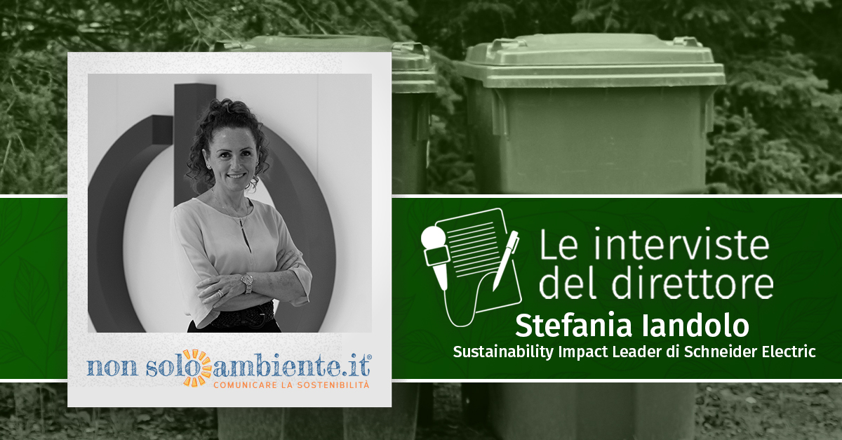 Le interviste del Direttore: Stefania Iandolo