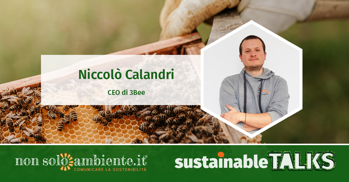 #SustainableTalks: 3Bee