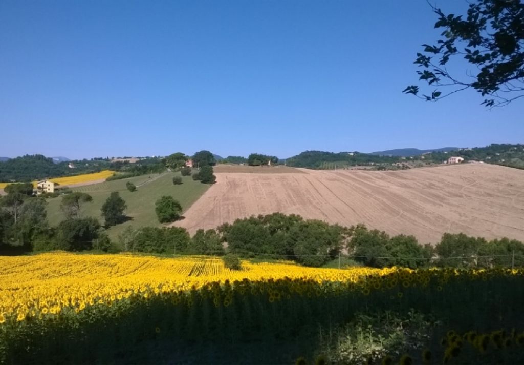 Antiche Terre abbandonate in cessione a giovani agricoltori: un progetto da imitare