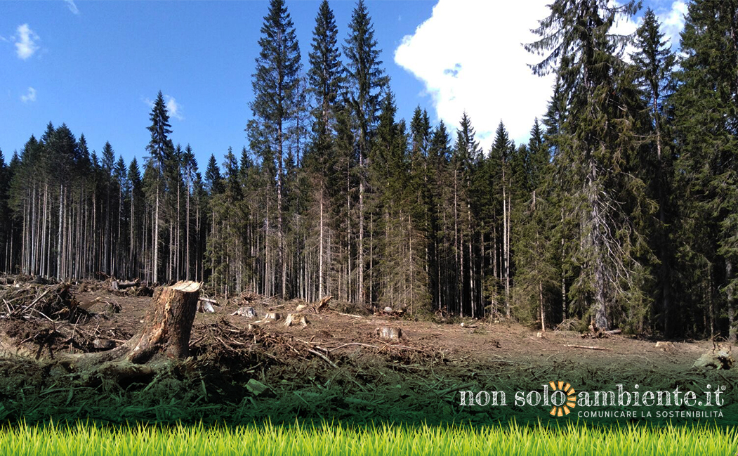 VAIA, cronaca fotografica di un eco-disastro