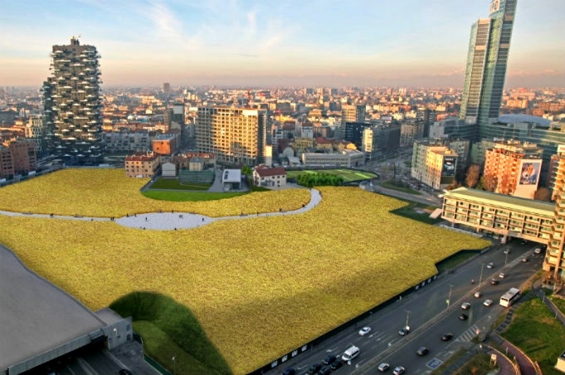 Wheatfield, un campo di grano immerso nello skyline milanese