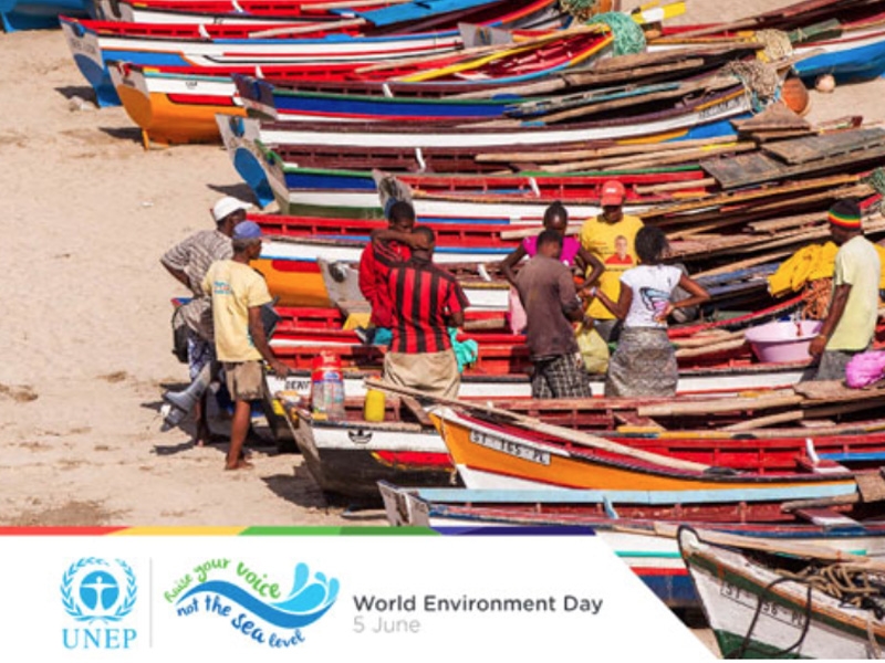 Giornata Mondiale dell’Ambiente 2014: missione dell’anno, isole da salvare