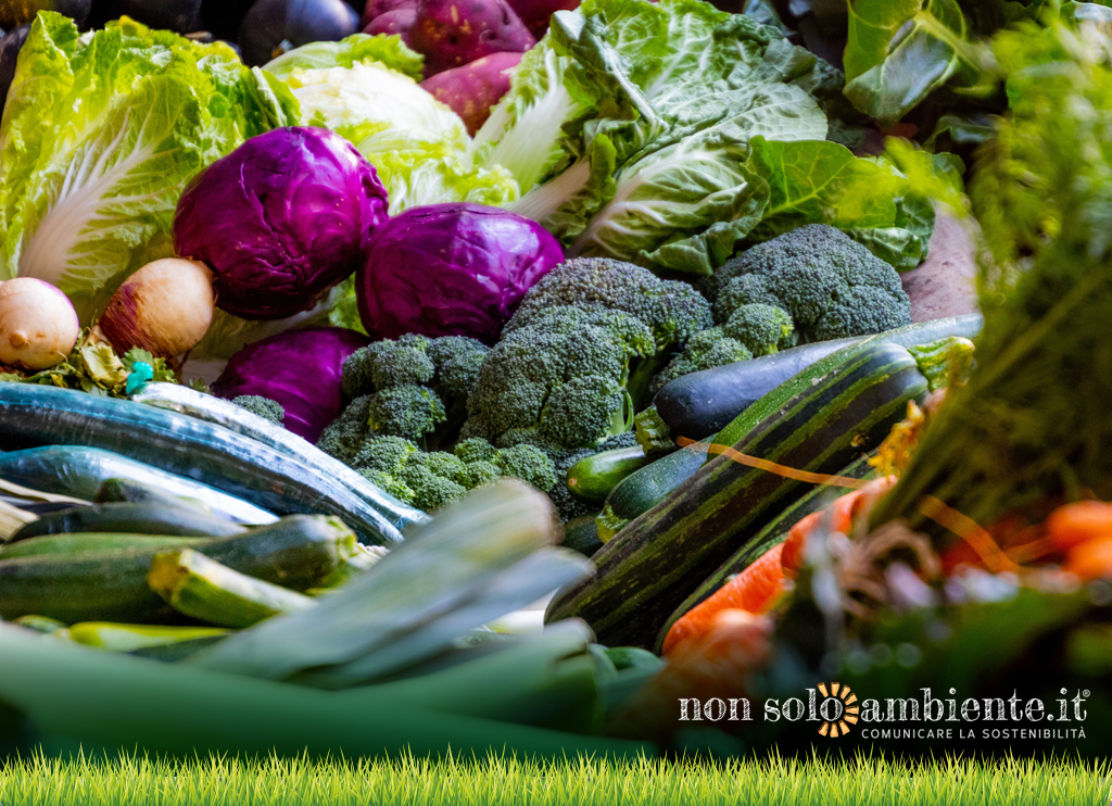 “ZeroSprechi”: il primo hub alimentare per la raccolta di cibo per bisognosi