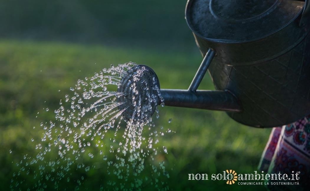 Cittadini attivi contro la siccità che asseta il verde pubblico: esempi virtuosi