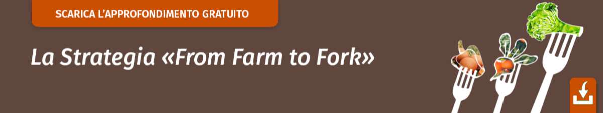 N_from farm to fork