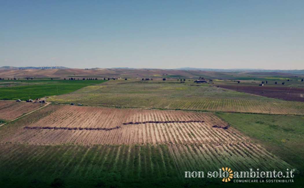 In Sicilia nasce il più grande parco agrovoltaico d’Italia