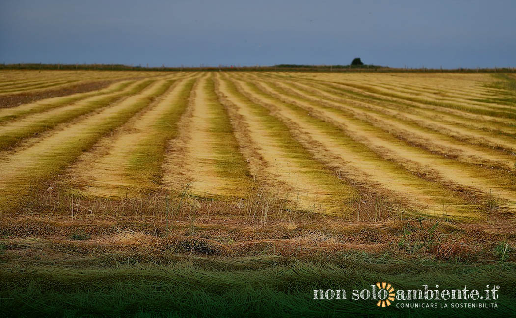 I terreni si stanno impoverendo, spiega Confagricoltura